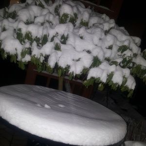 Meet your Posher, Jagjit